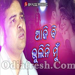 Aji bi Bhulini Mu - Odia Sad Romantic Song (Saroj Jena)